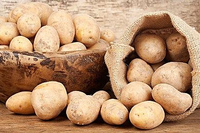 《流放之路2》正式版不会继承EA进度 但也不会清空